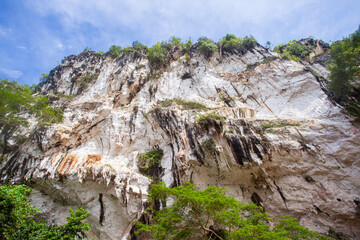 The magnificent limestone cliffs of Batu Aji Karst in East Kutai, part of the Sangkulirang-Mangkalihat Karst ecosystem in Borneo, Indonesia. Lush rainforest vegetation thrives on the steep rock face