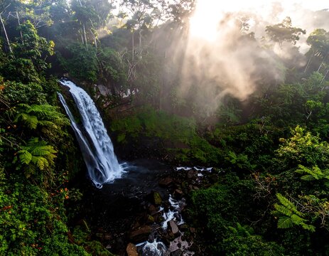Waterfall cascading into lush jungle at sunrise