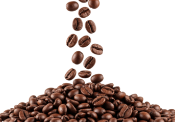 Freshly roasted coffee beans, rich deep roasted brown with glistening oily sheen, suspended mid-air over a mound in a transparent studio with copy space, high-key, rich aromatic indulgence