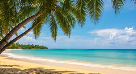Tropical beach scene