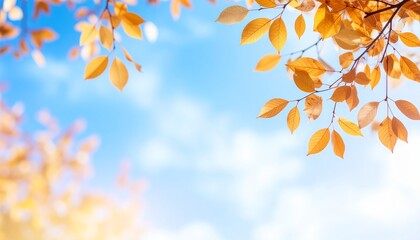 Obraz premium Golden Autumn Leaves Against a Serene Blue Sky, Soft Focus