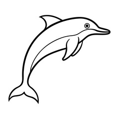 dolphin isolated on white background
