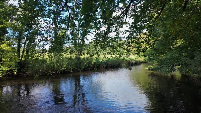 Pretty riverside view of the River Maine at Cullybackey with wildflowers, flowing water and secluded wooded area on bright sunny day