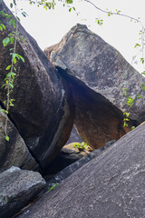 Massive natural rock formations with angular boulders and climbing vines, creating dramatic textures and shadows, perfect for geological studies or nature backgrounds