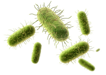 Fototapeta premium Microscopic colony of flagellated bacteria in motion, isolated on transparent cutout background