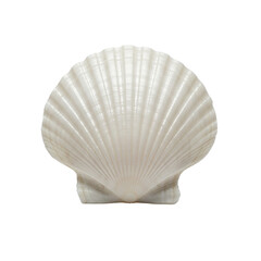 A single, perfectly formed scallop shell, luminous and opalescent, on a transparent studio background with copy space, soft diffused lighting, macro lens. Concept of natural beauty and minimalism