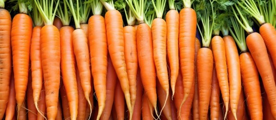 carrots,fresh vegetables,healthy food,organic produce,vibrant colors,farm-fresh,culinary ingredients,natural lighting,still life,close-up photography
