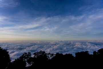 stunning view from above the clouds, with a sea of fluffy white clouds stretching to the horizon under a blue sky. Silhouetted trees frame the foreground.