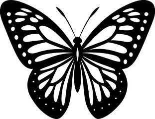 butterfly vector illustration, Monarch Butterfly Isolated on White Background