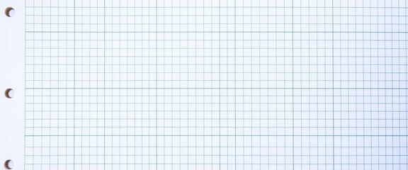 Blank gridded paper, a sheet of lined graph paper, abstract, notebook paper