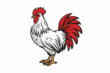 Fototapeta premium Vintage Lineart Style Rooster Farm Animal Poultry Bird Illustration