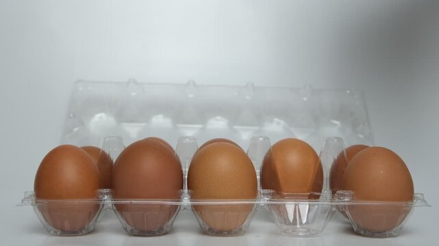 Hand picking brown egg from plastic egg tray
