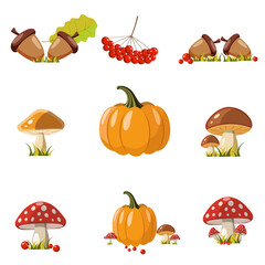 Autumn harvest set