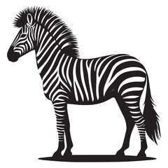 Obraz premium Zebra silhouette vector with white background