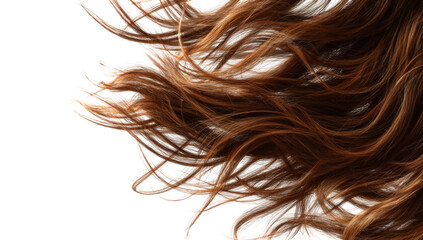 Close-up of flowing brown hair (7)