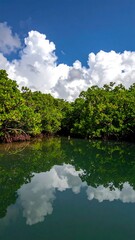 Calm waterway with lush greenery and a vibrant sky