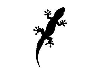 Fototapeta premium Vector art of black silhouette of a gecko lizard