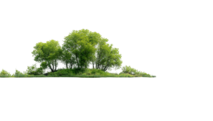 Lush green trees forming a cloud-like shape against a black background