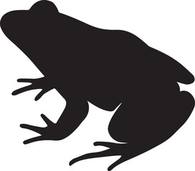 frog on a white background