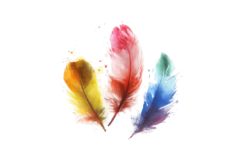 Colorful feathers arranged in a cluster