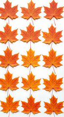 Obraz premium Autumn leaves arranged in a grid pattern on a white background 