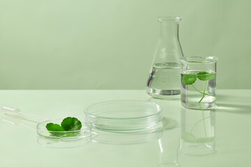 A transparent beaker with liquid stands next to a petri dish containing Centella leaves, presenting a modern lab-inspired herbal skincare theme. Natural centella ingredient for advertising