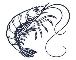 shrimp vector illustration