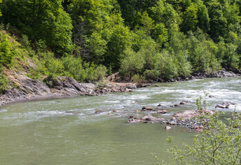 canyon of the mountain river in the summer, walking along the rocky shore