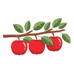 Illustration of a branch with three red apples and green leaves.