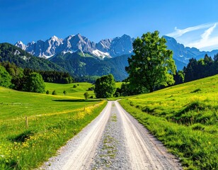 A gravel road winds through a verdant valley, leading towards a majestic snow-capped mountain range under a bright, sunny sky