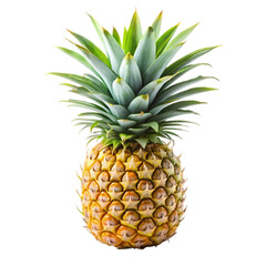 Pineapple isolated on transparent background