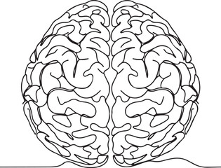 Top View Outline Of Human Brain With Intricate Gyrus And Sulcus Patterns