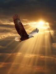 Majestic eagle soaring through a golden sunset sky, bathed in divine light.