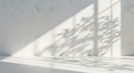 Obraz premium Bright, minimalist interior scene with strong sunlight casting tree leaf shadows on a white wall and floor