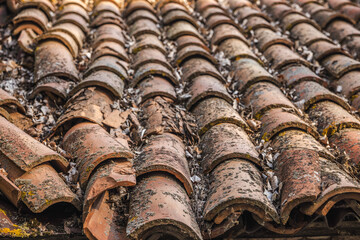 Close-up of an old clay tile roof with moss and dry leaves, showing texture, decay, and rustic architectural detail.