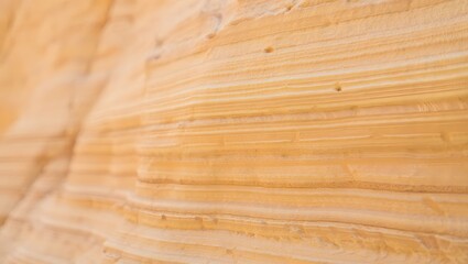 Obraz premium Natural oak wood grain texture panel for a rustic wooden brown floor or wall surface