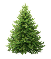 Isolated green Christmas tree