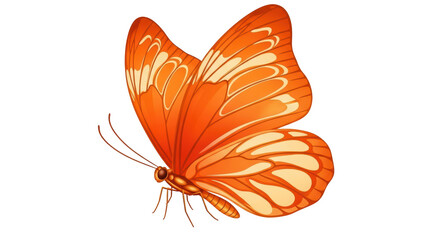 Isolated orange butterfly with detailed wings, a natural design, vector illustration artwork
