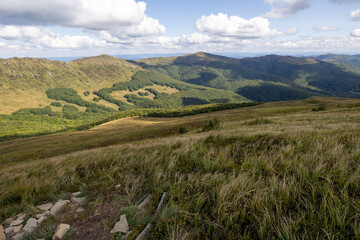 Hiking along the red trail to the highest peak of the Bieszczady Mountains - Tarnica