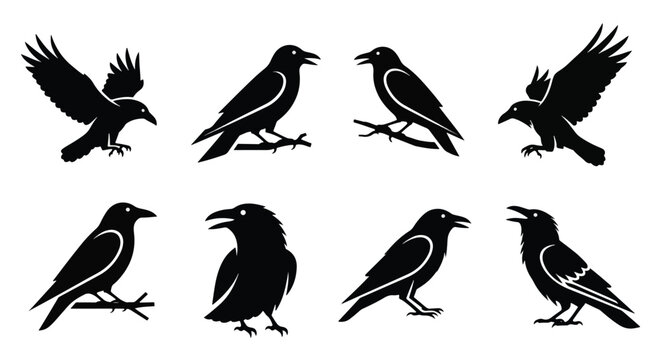 A collection of eight black crow and raven silhouettes in various poses, including flying, perched, and cawing on a white background.