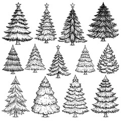 Obraz premium Collection of hand-drawn Christmas trees
