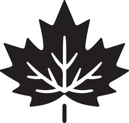 Maple leaf Canadian symbol Vector illustration
