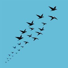 A flock of birds flying diagonally across a blue sky, creating a sense of freedom and movement in nature
