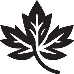 Maple leaf Canadian symbol Vector illustration