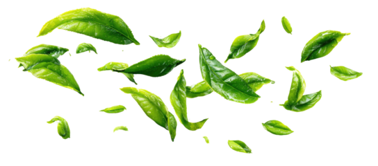 Green tea leaves in motion
