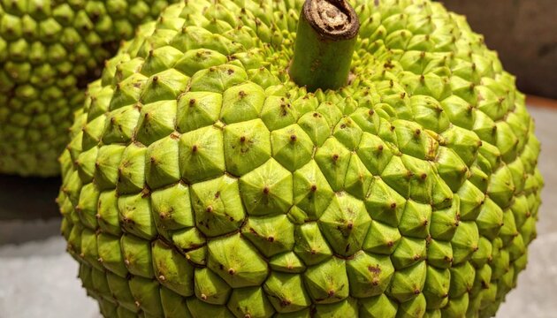 Breadfruit chequered skin tilelike across the frame quiet greens and balanced side light modern tropical texture for editorial and packaging design