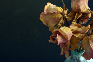 dried faded roses flowers on dark bacground