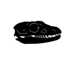 Simple Silhouette Dinosaur Skull Side View Paleontology Illustration