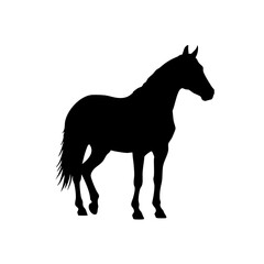 Minimalist Silhouette Horse Animal Farm Mammal Equestrian Black Icon Illustration