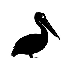 Simple Silhouette Pelican Standing Bird Illustration Wildlife Graphic